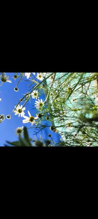 Продам участок под строительство