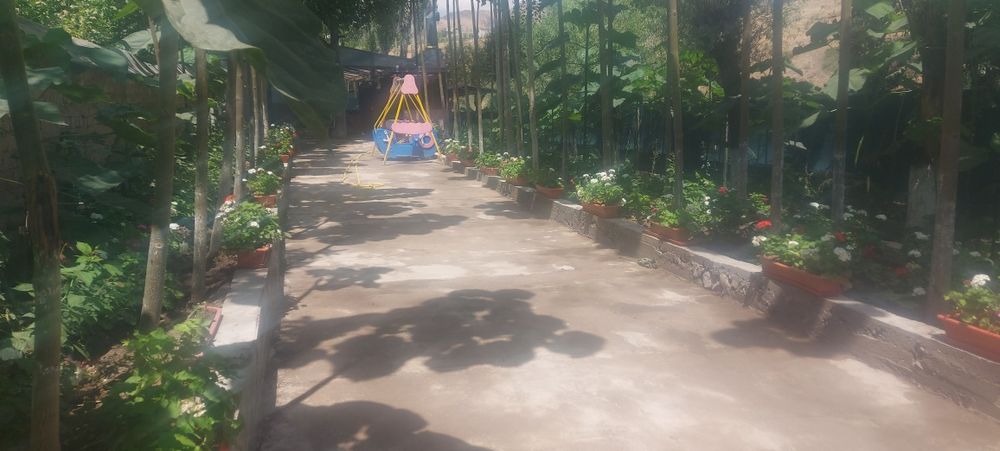 Герань гуллари сотувда