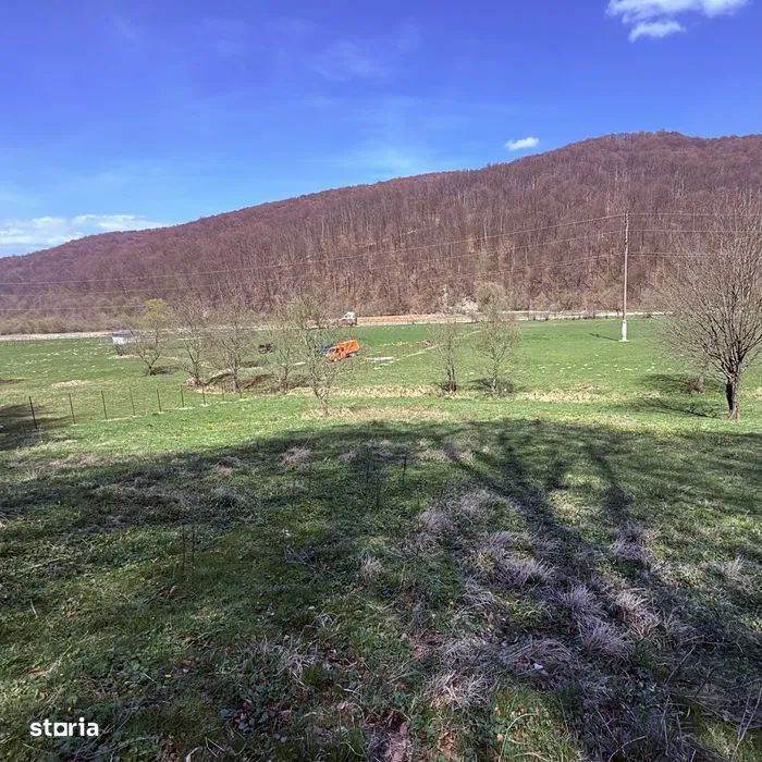 Teren Extravilan Zizin/Tarlungeni 7300 mp