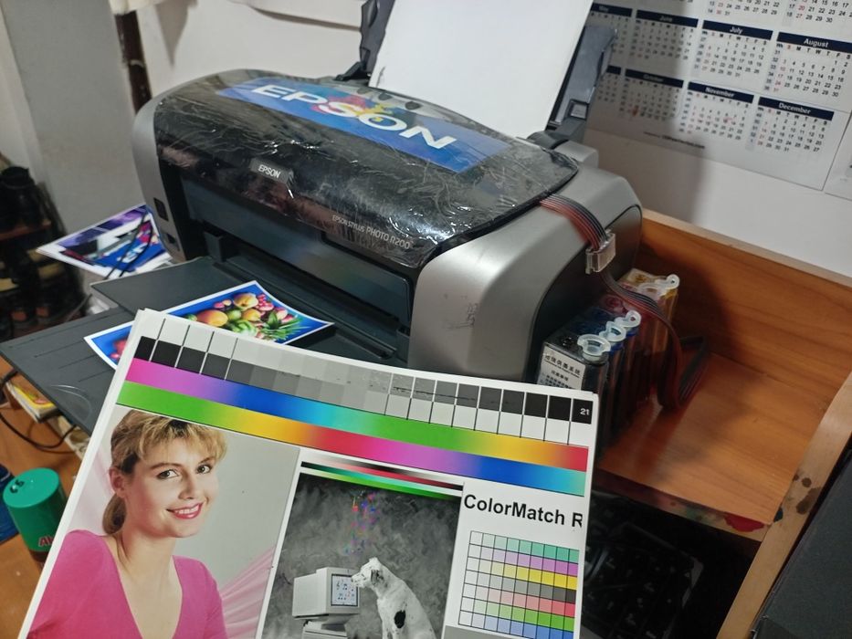 Epson 200 tezkor 6 ta rangli printer dyuzi 100% tayyor printer idialni