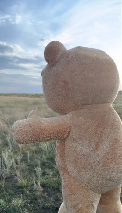 Ростовая кукла медведь ТЭД