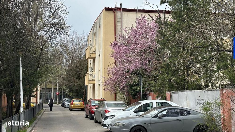 Pajura, Bucurestii Noi, Jiului