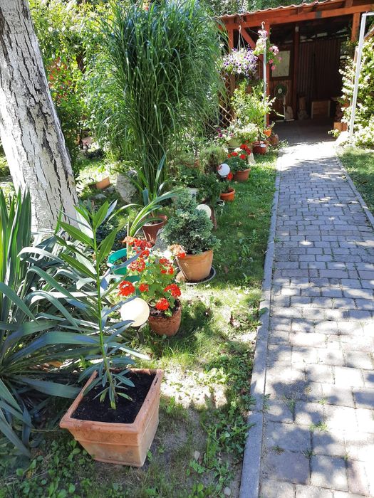 Apartament 4 camere decomandat