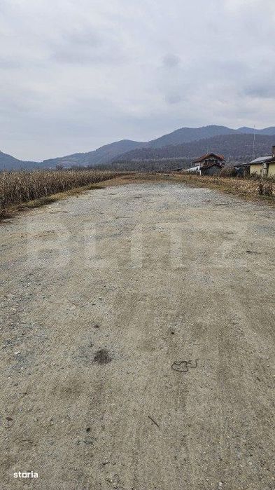 Oportunitate de Investitie de Top in Șoimus - 2600 mp teren intravila - View 3
