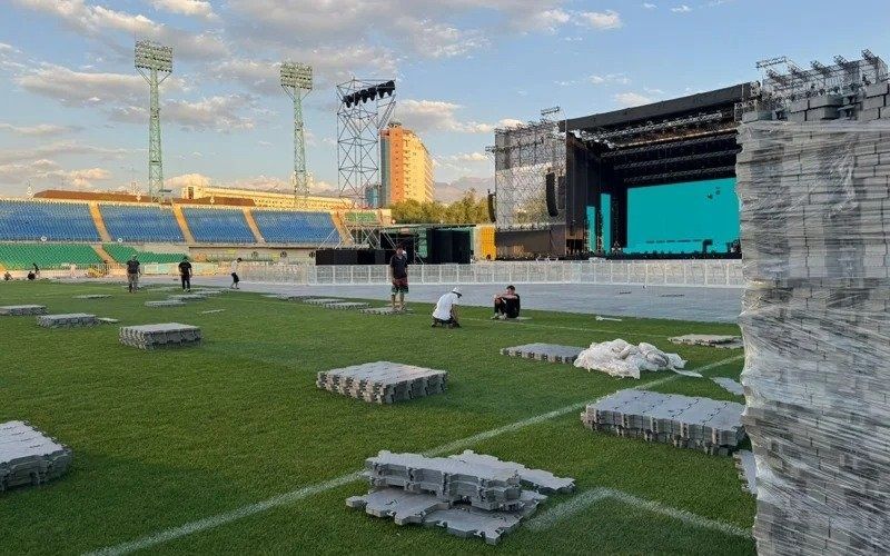 посев газона   уход сада всё включено