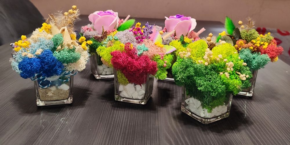 Бурканчета и мини кашпи с естествен скандинавски мъх