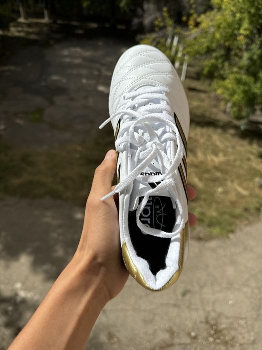 Сороконошки с мяом в подарок