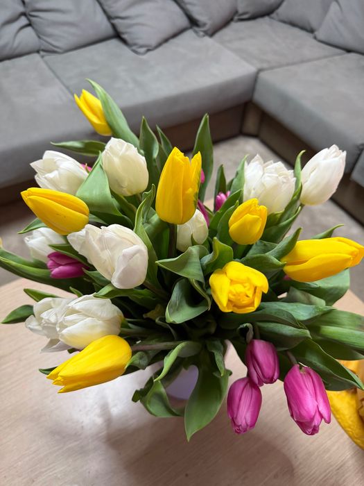 Тюльпаны с луковицами