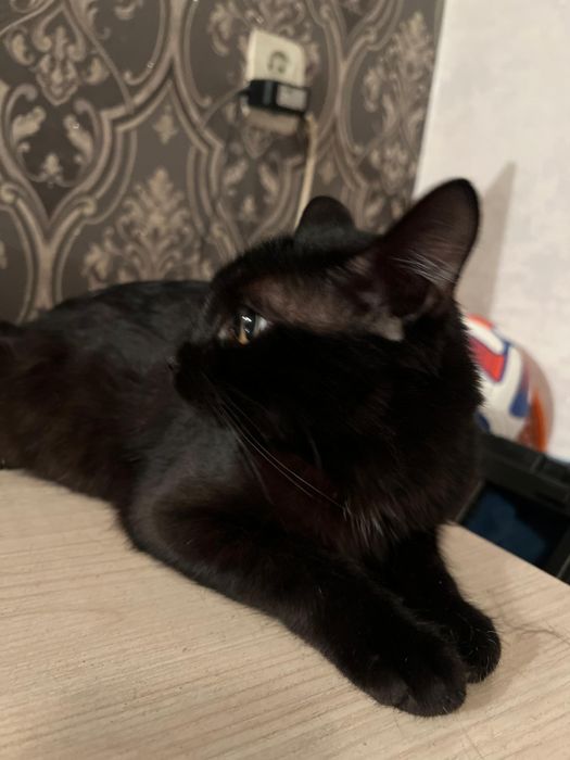 Ищем добрых людей