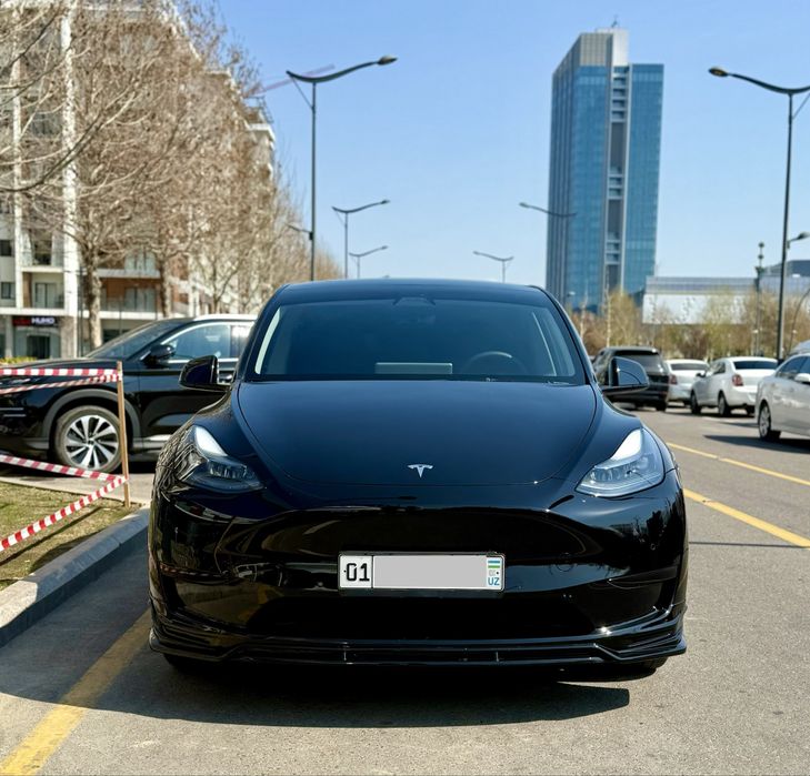 Tesla Model Y standart