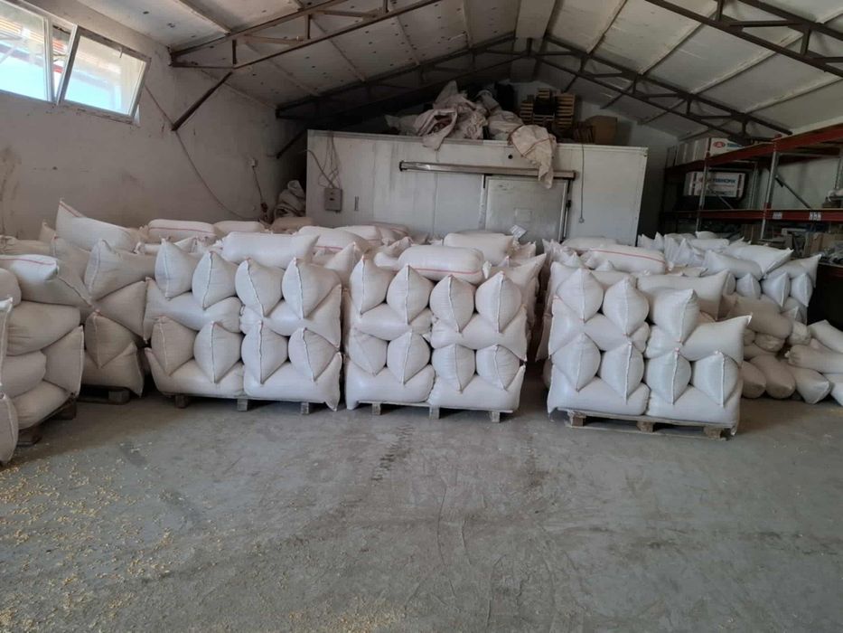 Porumb  1,2lei/kg vărsat
                 1,3lei/kg însăcuit
Saci de 2