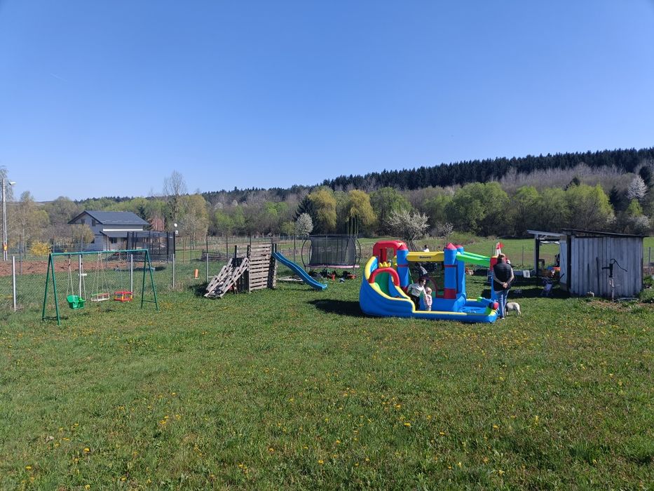 Oferta!!!Zile de naștere copii în natură