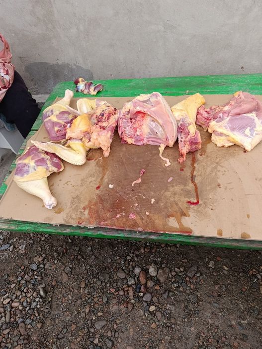 Продаются тушки индюков