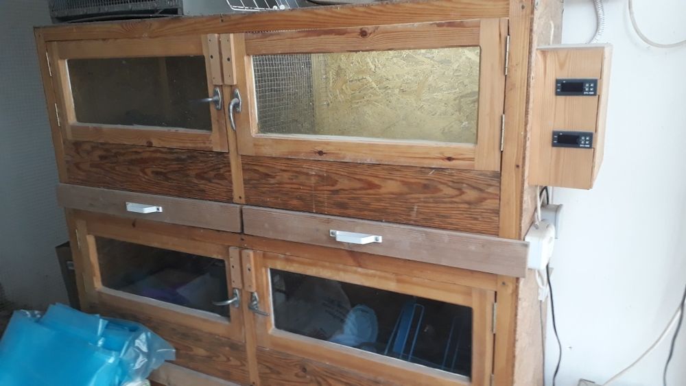 Брудер для цеплят