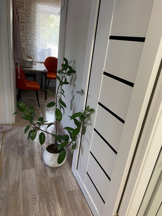 Продам однокомнатную квартиру