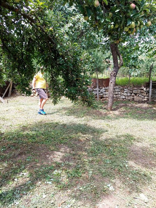 Продава се Къща в с. Драганица, Област Монтана - 120 кв.м за 213 €/кв.м - Снимка #2