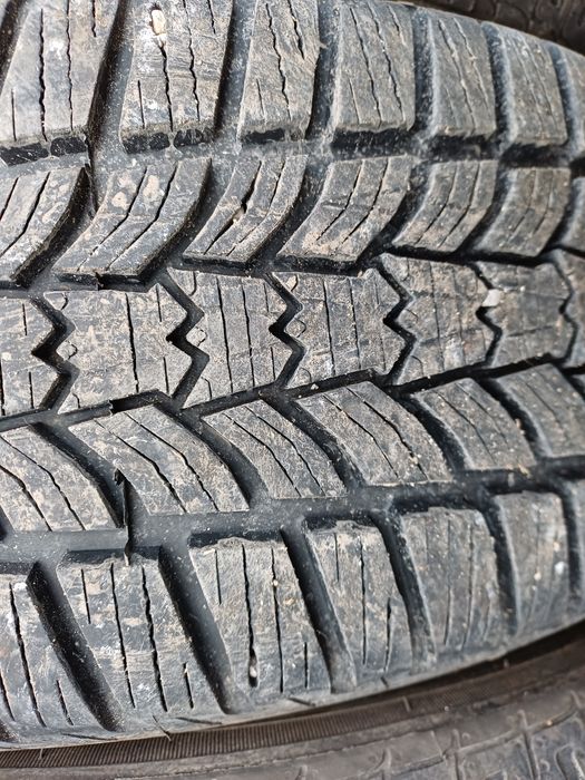 Гуми 195/55/15 Сава