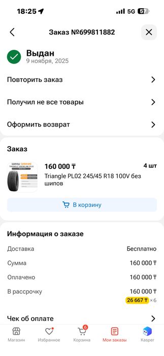 Шины зимние Triangle 245х45х18