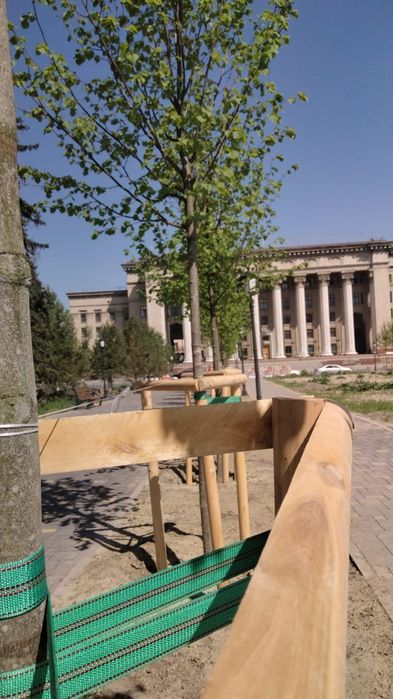 Колья оцилиндрованные для подвязки деревьев