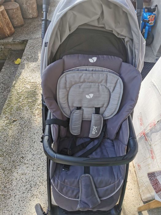 Carut joie mirus sport