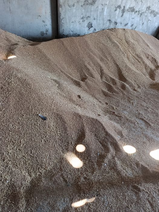 Бидай Местный Жылға