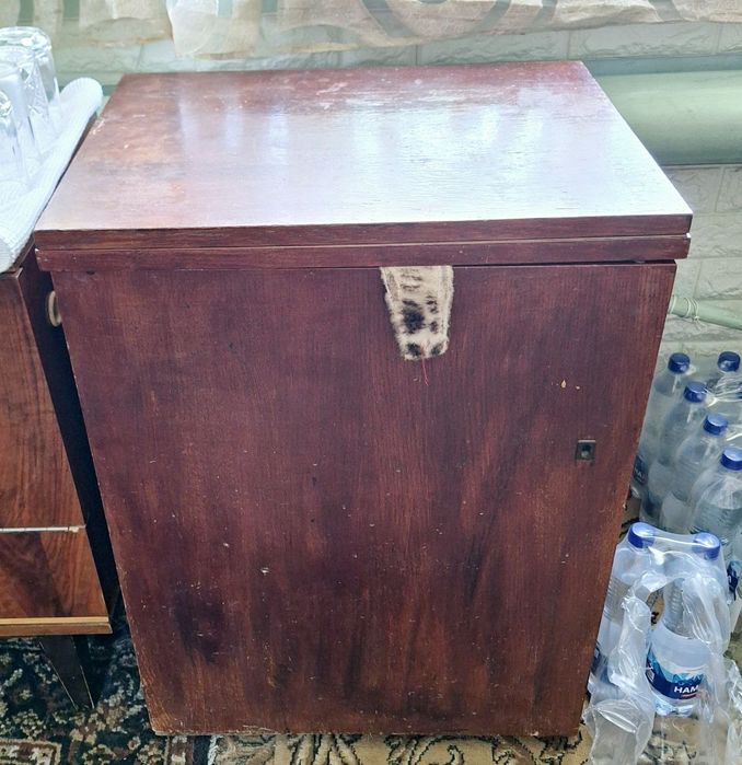 Швейная мвшинка Чайка