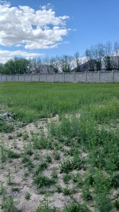 Жер земля Жайна артында