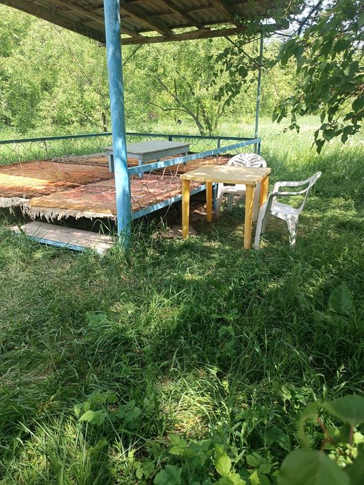 Тапчаны в районе Бургулюка