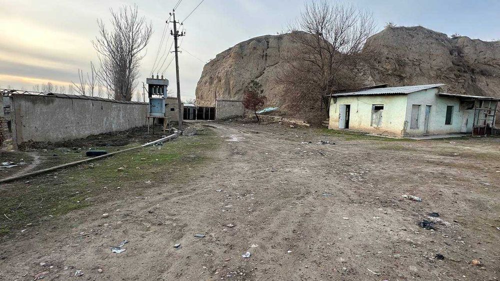 Ферма 80 сўтих. Манзил Тошкент вилояти, Пискент тумани.