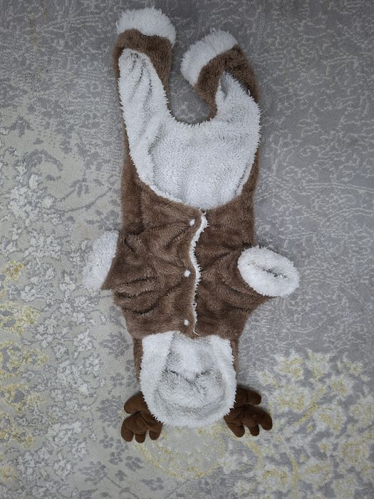 Одежда для кошки