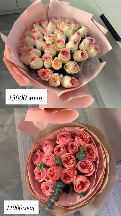 Бугін келді екеуіде свежый