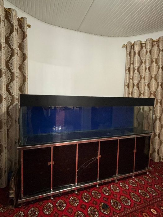 Akvarium baliq uchun