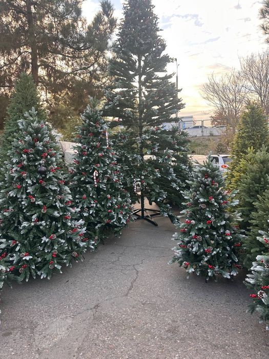 Archa xitoyniki orginali hamma razmerlari bor dastavka ustanofka h