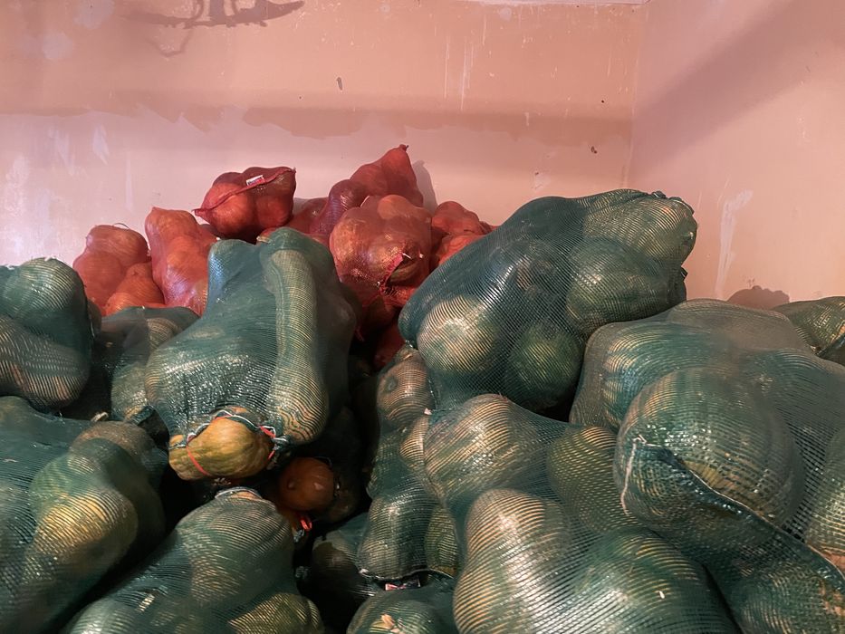 Тыква в караганде