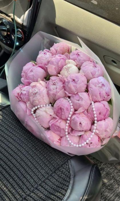 Голландские пионы Алматы