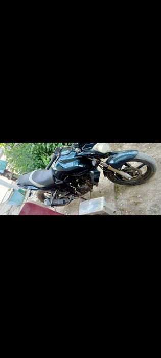 Райсер нитро 250 кубов