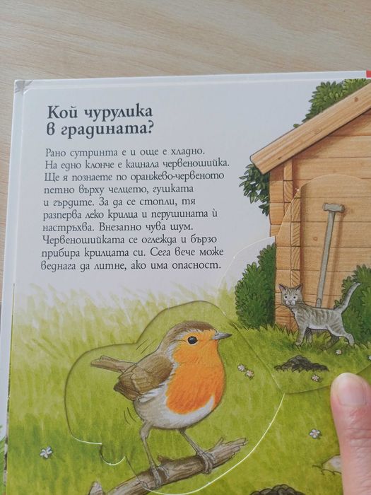 Детска енциклопедия