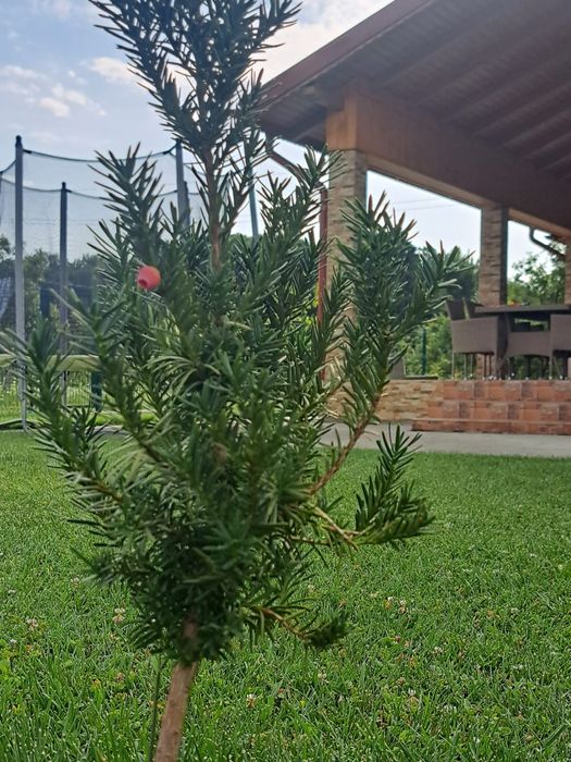 Casă modernă într-un peisaj de vis, situată între Pitești și Vâlcea