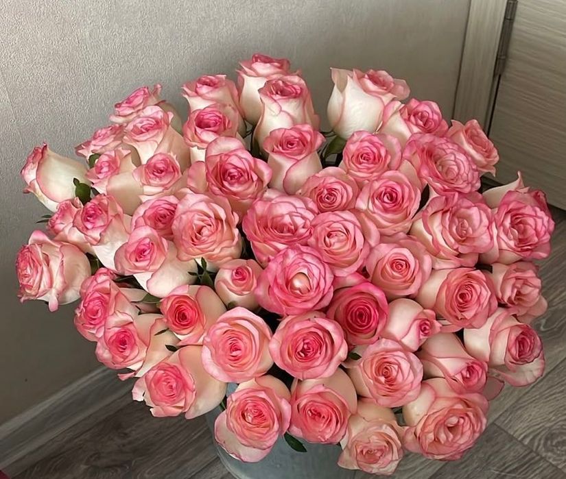 Букет из 51 розовой розы