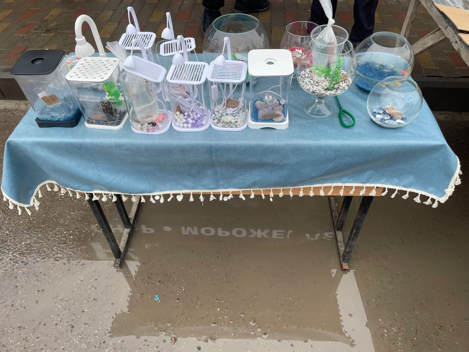 Аквариум   с рыбкой петушек .  + светильник