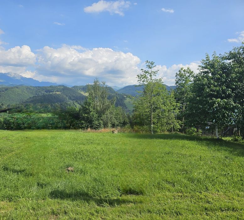 Teren 450 mp Moeciu de Jos, Drumul Carului