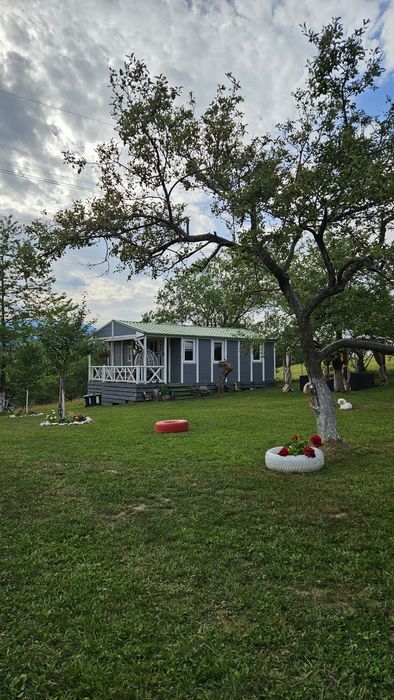 Casuta / Cabana Bran -Sohodol cu Ciubăr de inchiriat