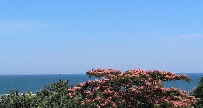 ‼️ Apartament de inchiriat | vila langa plaja |3 - 5 locuri | 1 sau 2 camere | vedere la mare | Eforie Sud  ‼️