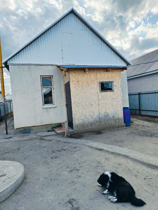 Продам дом район птица фабрика