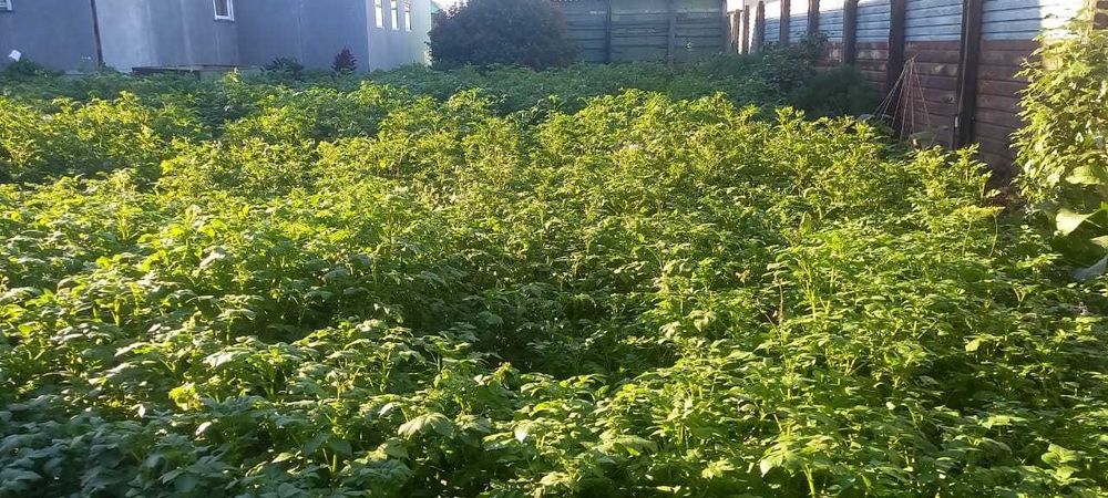 Продам дом в рабочем поселке 1970 года постройки