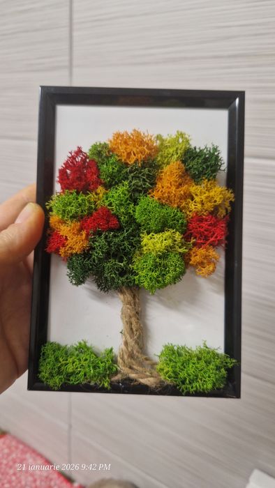 Tablou licheni stabilizati