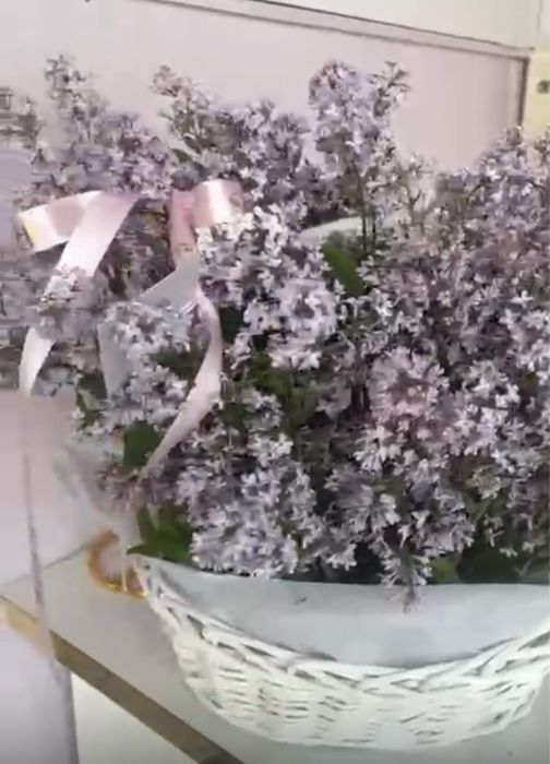 Адеми гул дау корзина