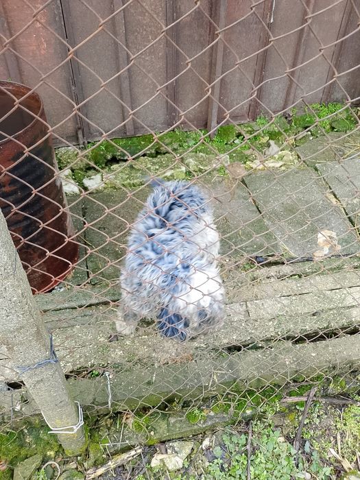 Продавам лагото на 8 месеца