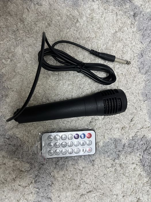 Колонка с микрофоном