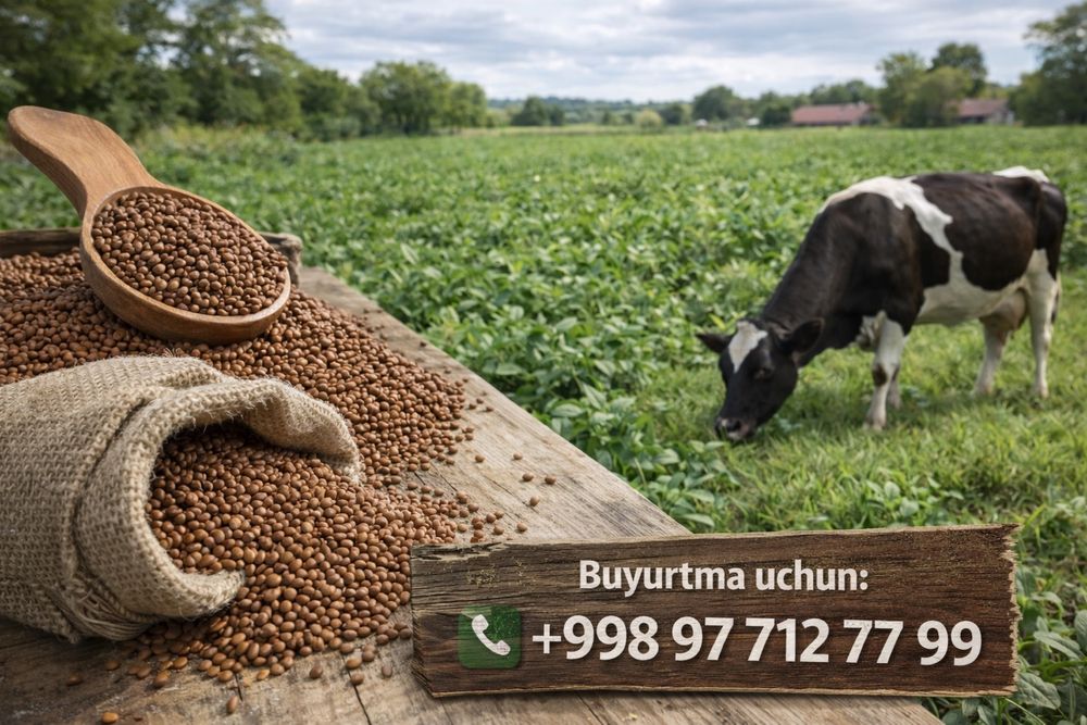 Беда уруг (оригинал) Туркия ва Узбекистан Optom